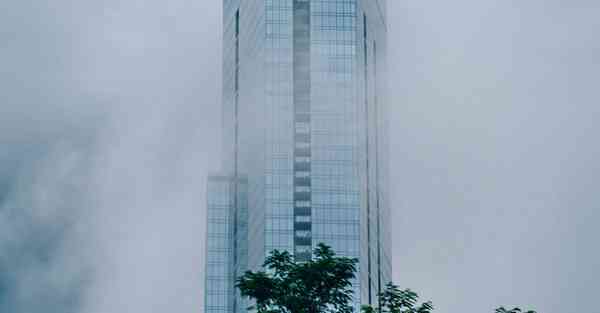 降低论文重复率的10个技巧有哪些